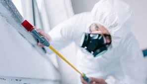 Best Commercial Pest Control  in Morganville, NJ